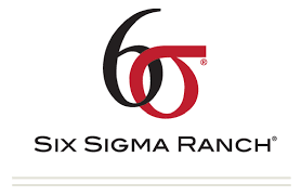 Six Sigma Ranch - $336 Case of 2021 Sauvignon Blanc Wine