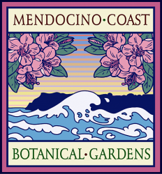 thumb_45_mendobotanical.png